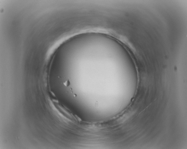 X0000066001504200603172152