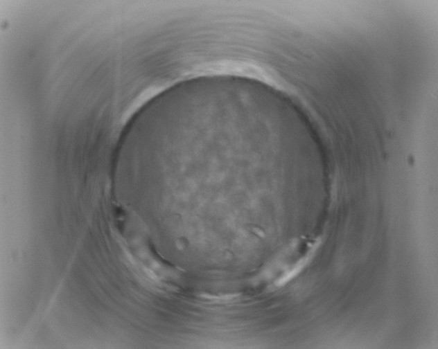 X0000066001505200603172152