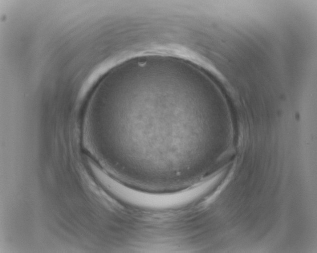 X0000066001506200603172152