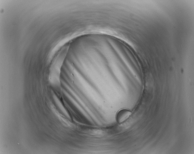 X0000066001507200603172152