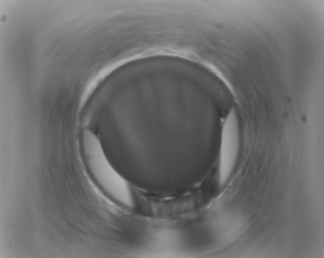 X0000066001508200603172152