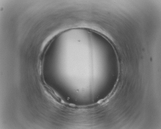 X0000066001510200603172152