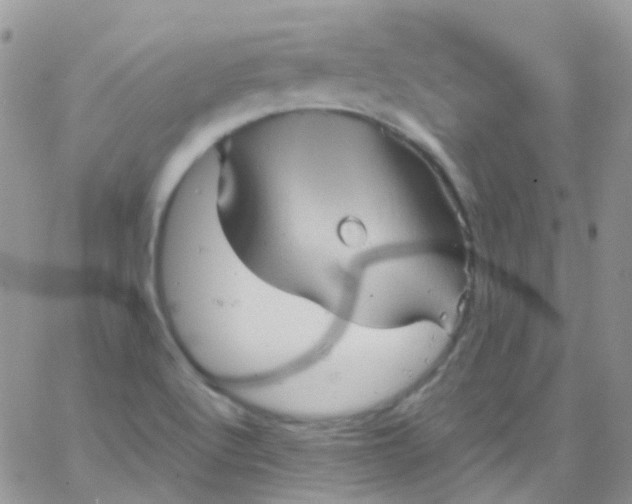 X0000066001512200603172152