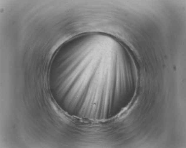 X0000066001513200603172152