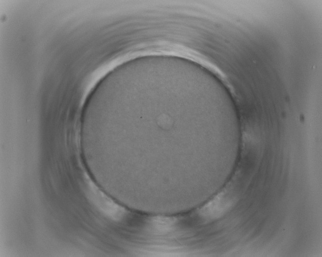 X0000066001514200603172152