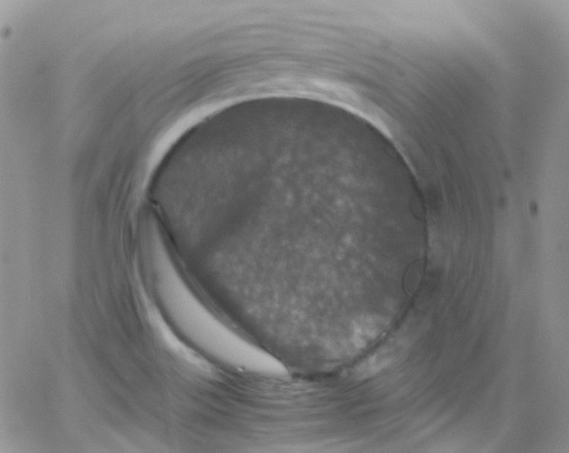 X0000066001515200603172152