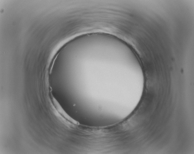 X0000066001516200603172152