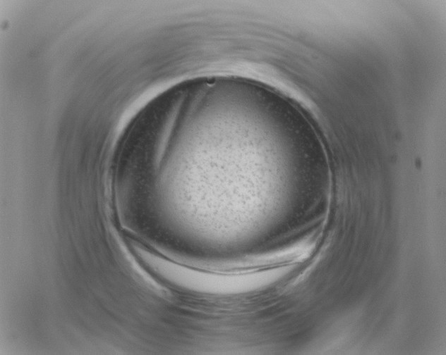 X0000066001517200603172152