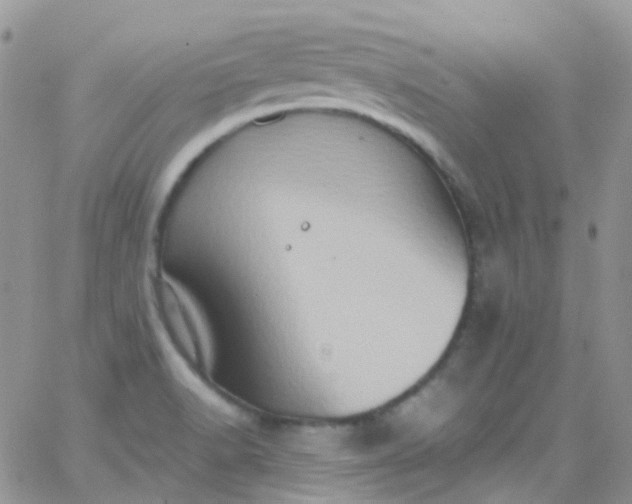 X0000066001518200603172152