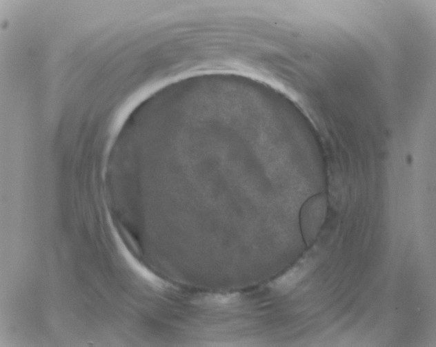 X0000066001519200603172152