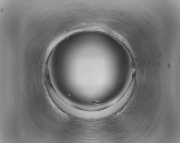 X0000066001520200603172152