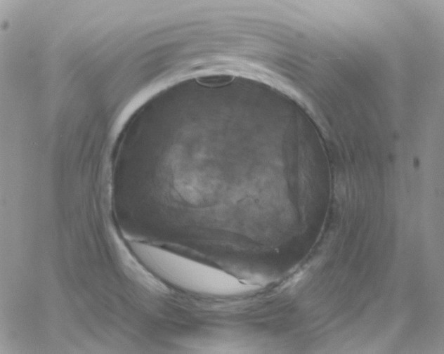 X0000066001522200603172152