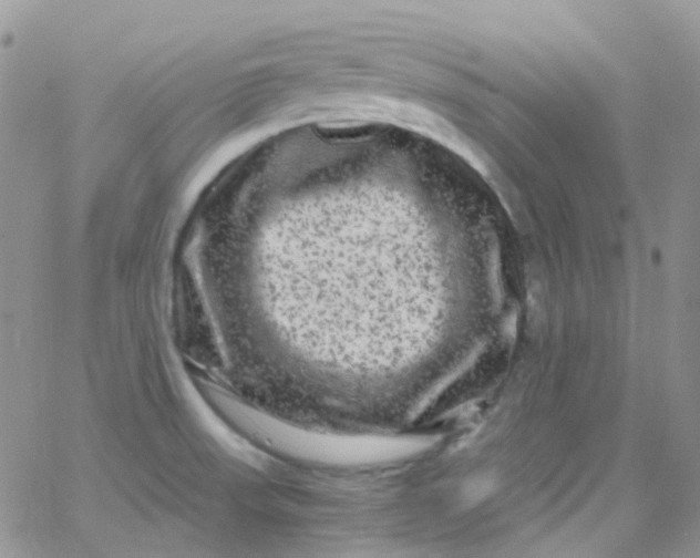 X0000066001523200603172152