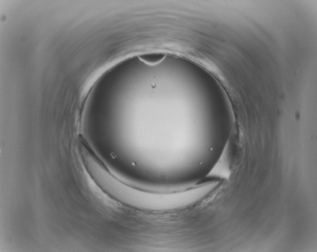 X0000066001524200603172152