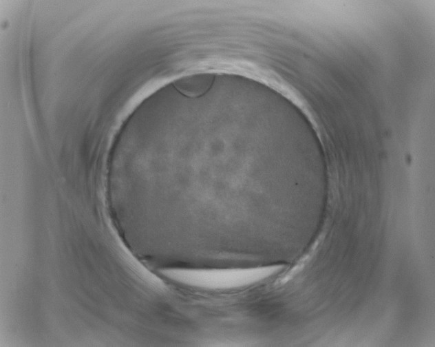 X0000066001525200603172152