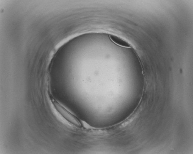 X0000066001526200603172152