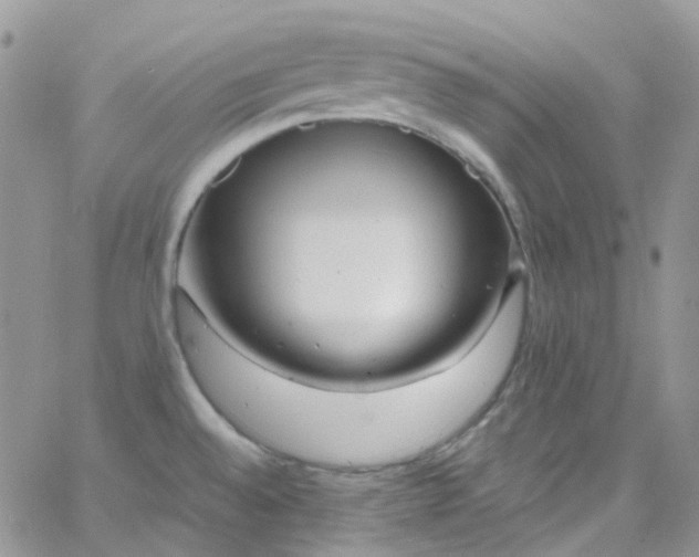 X0000066001528200603172153