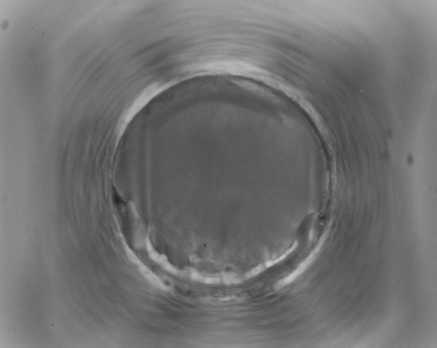 X0000066001529200603172153