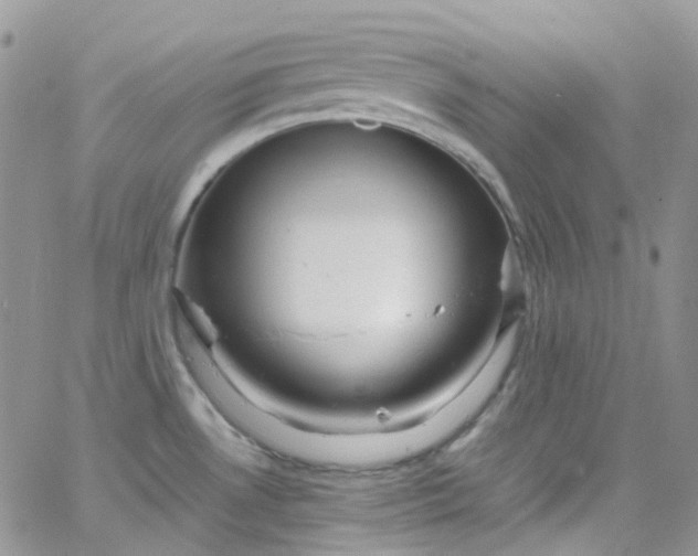 X0000066001530200603172153