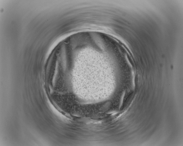 X0000066001531200603172153