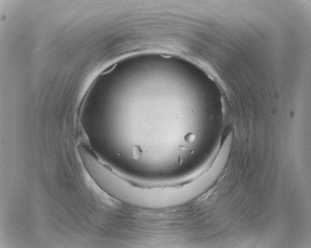 X0000066001532200603172153