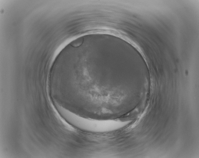 X0000066001533200603172153