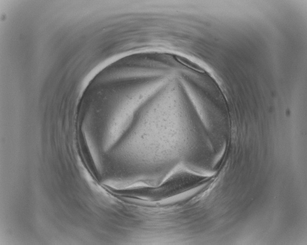 X0000066001534200603172153