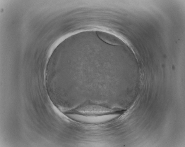 X0000066001535200603172153