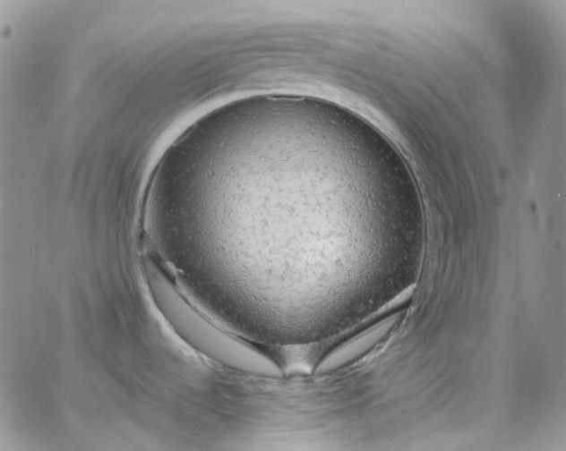 X0000066001536200603172153