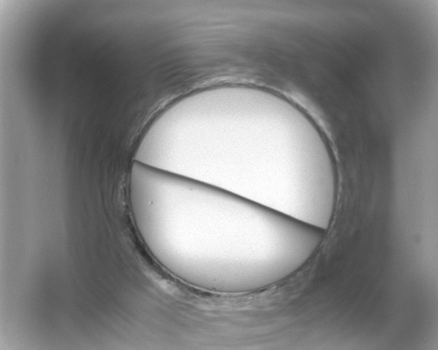 X0000066000009200603242043