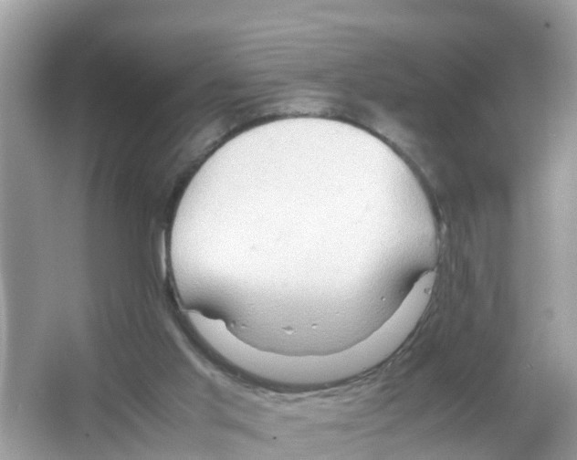 X0000066000013200603242043