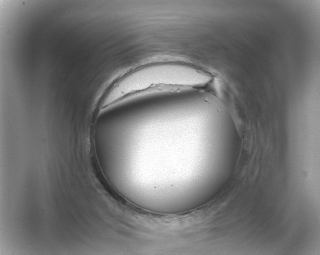 X0000066000015200603242043