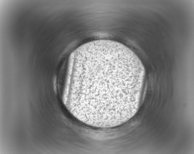 X0000066000024200603242043