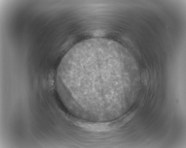 X0000066000032200603242043