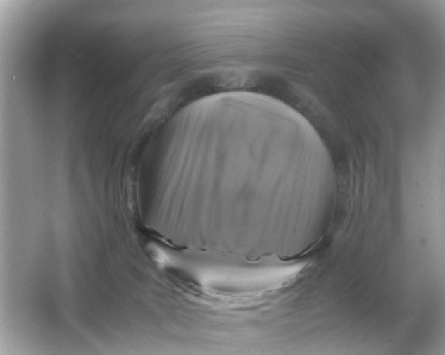 X0000066000035200603242043