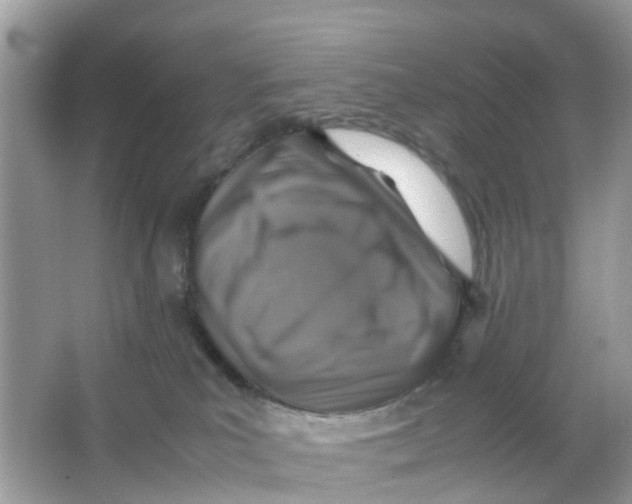 X0000066000039200603242043