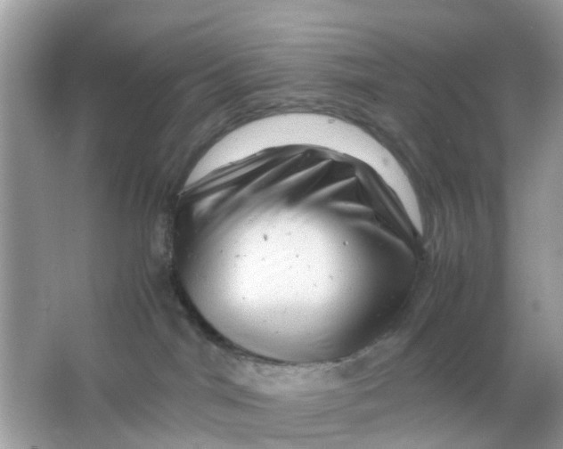 X0000066000044200603242043