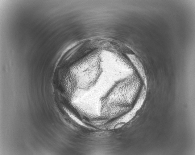 X0000066000050200603242042