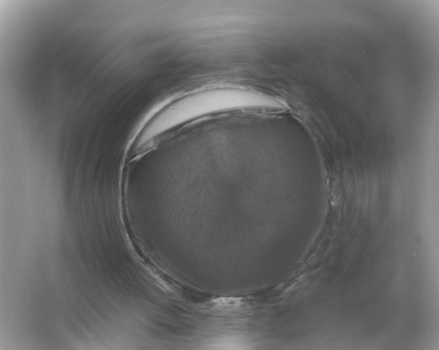 X0000066000052200603242042