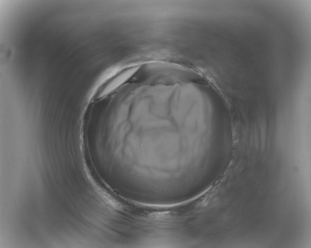 X0000066000054200603242042