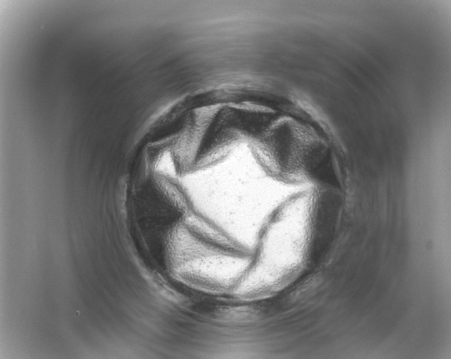 X0000066000058200603242042
