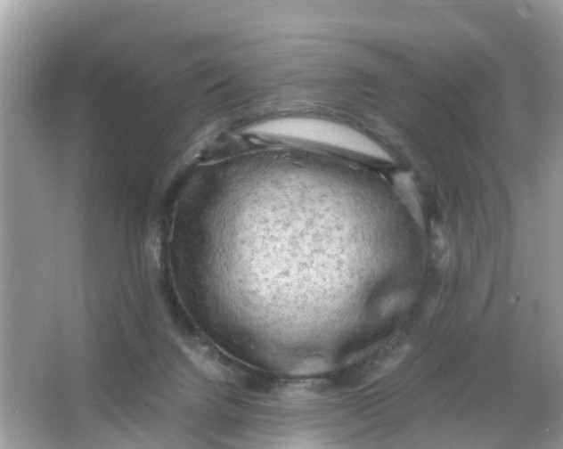X0000066000072200603242042