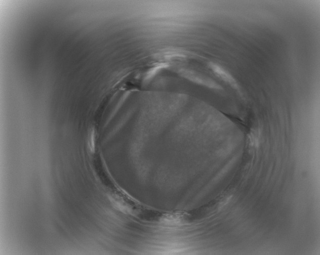 X0000066000076200603242042