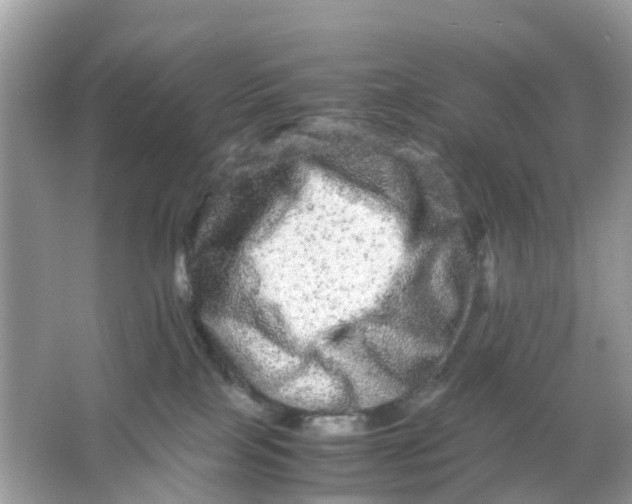X0000066000089200603242043