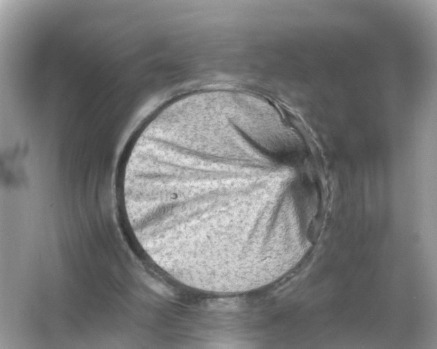 X0000066000102200603242042