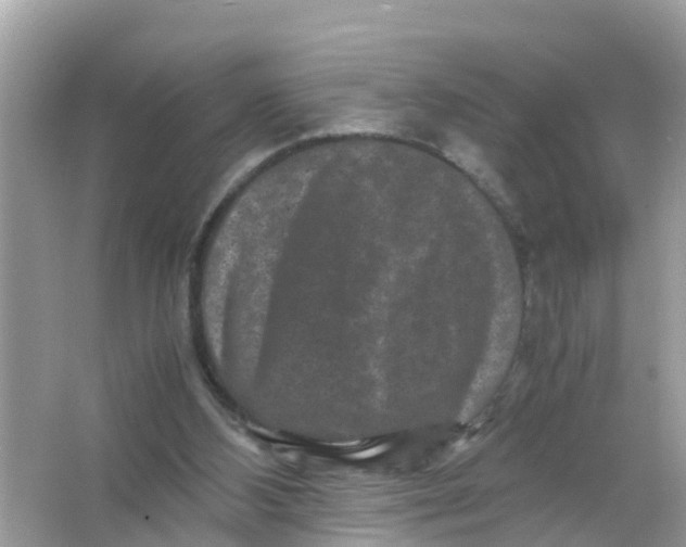 X0000066000108200603242042