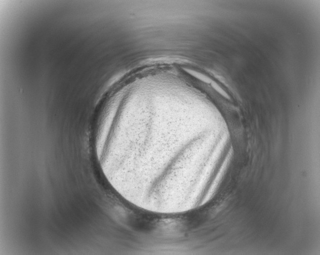 X0000066000111200603242042
