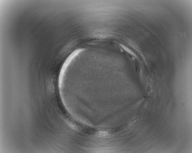 X0000066000114200603242042