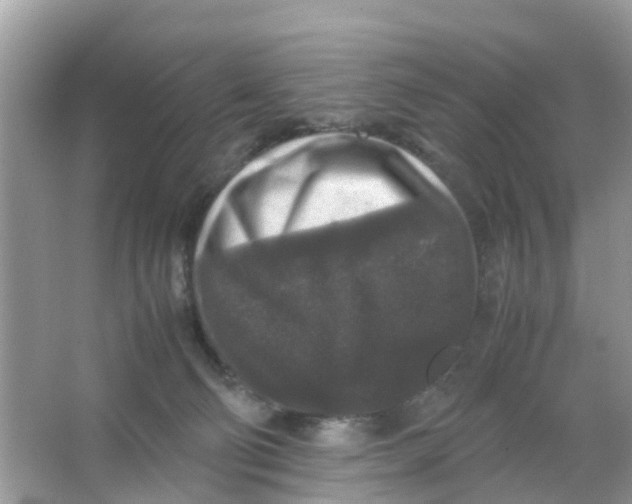 X0000066000130200603242041