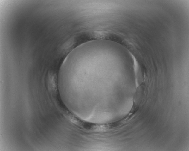 X0000066000131200603242041
